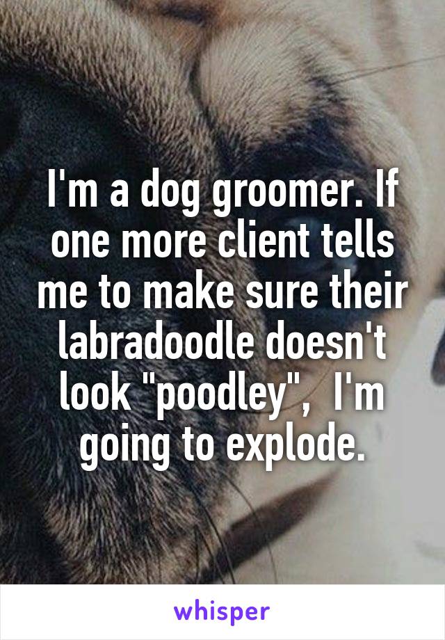 I'm a dog groomer. If one more client tells me to make sure their labradoodle doesn't look "poodley",  I'm going to explode.