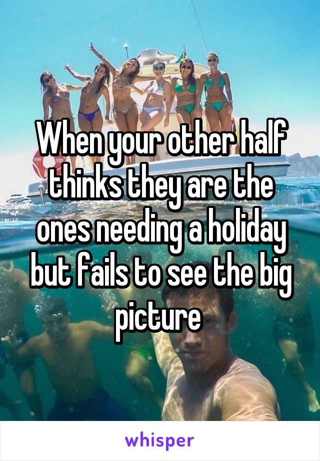 When your other half thinks they are the ones needing a holiday but fails to see the big picture 