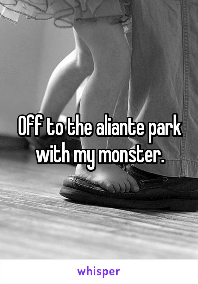 Off to the aliante park with my monster.