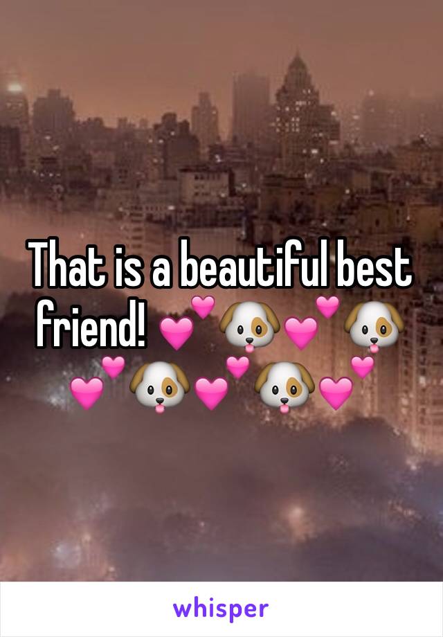 That is a beautiful best friend! 💕🐶💕🐶💕🐶💕🐶💕