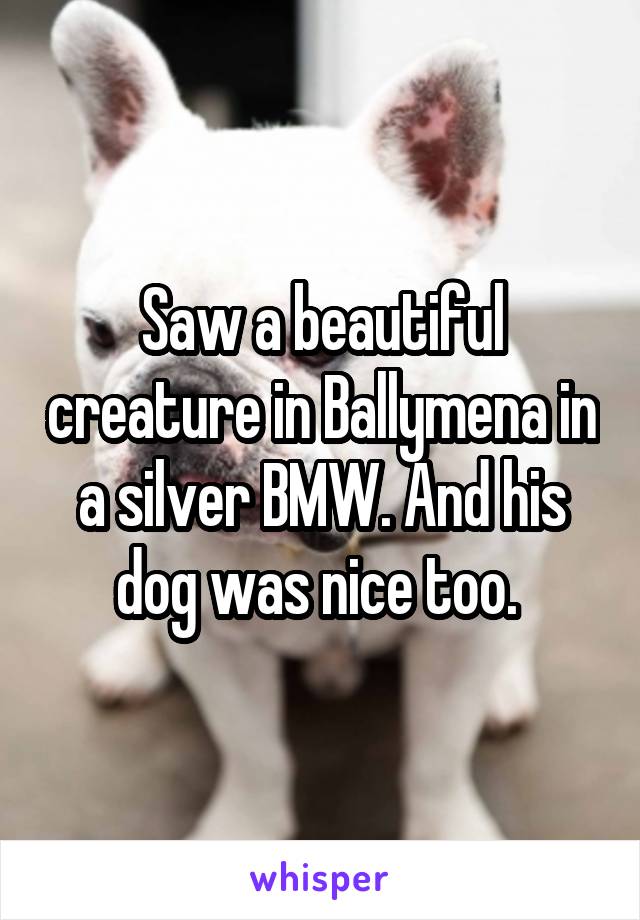 Saw a beautiful creature in Ballymena in a silver BMW. And his dog was nice too. 