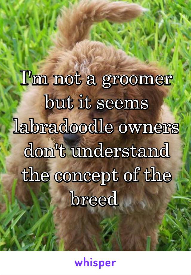 I'm not a groomer but it seems labradoodle owners don't understand the concept of the breed 