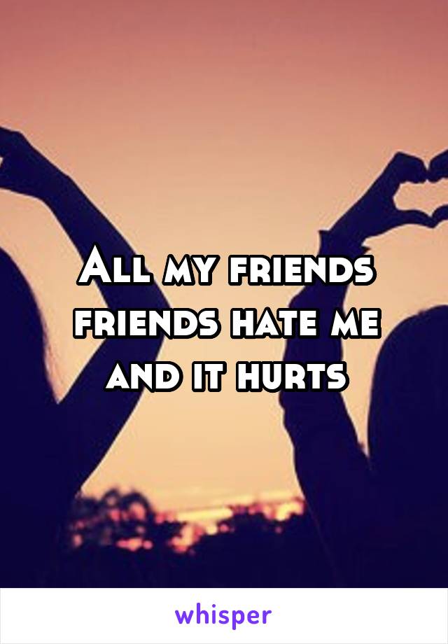 All my friends friends hate me and it hurts