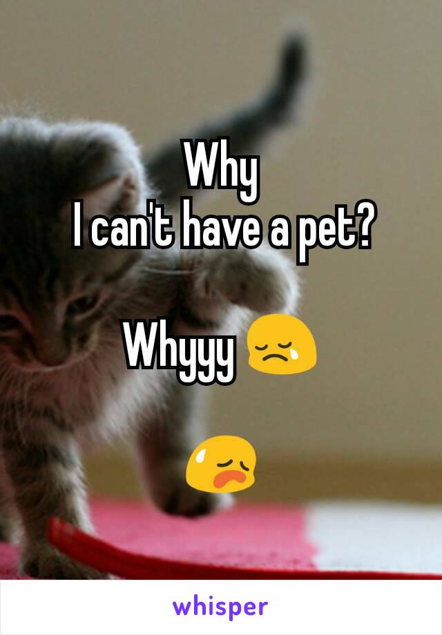 Why
 I can't have a pet?

Whyyy 😢

😥