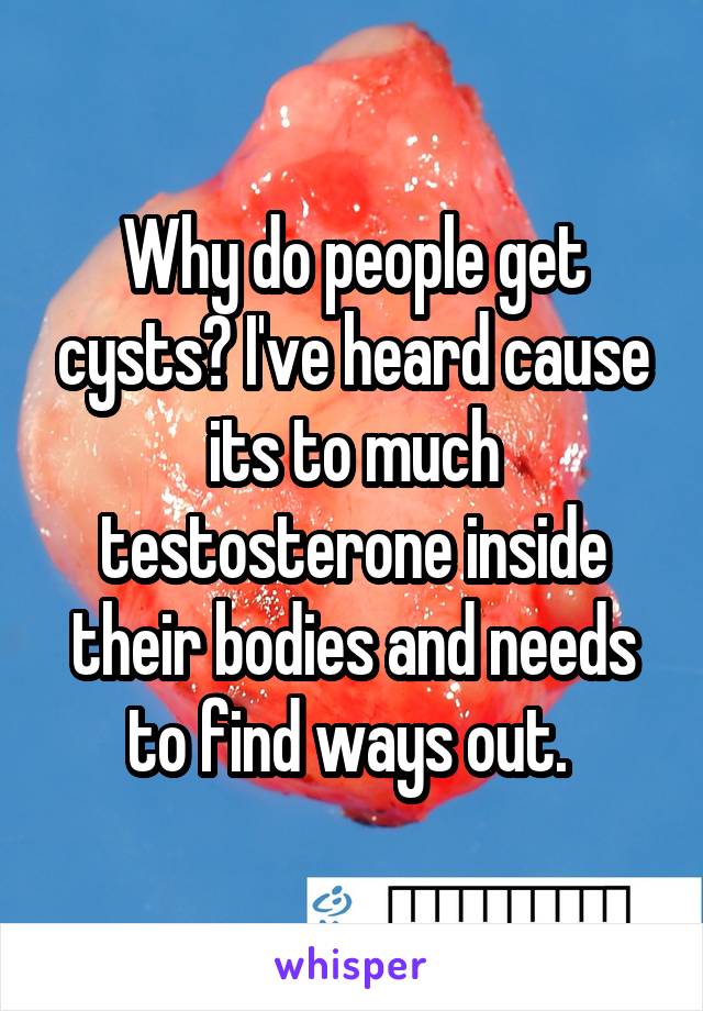 Why do people get cysts? I've heard cause its to much testosterone inside their bodies and needs to find ways out. 