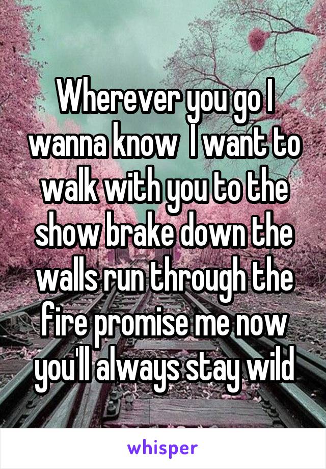 Wherever you go I wanna know  I want to walk with you to the show brake down the walls run through the fire promise me now you'll always stay wild