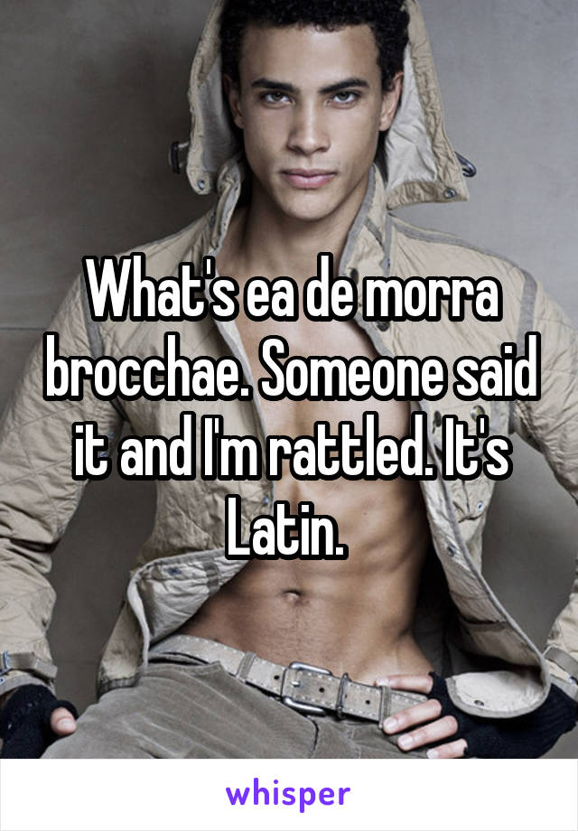 What's ea de morra brocchae. Someone said it and I'm rattled. It's Latin. 