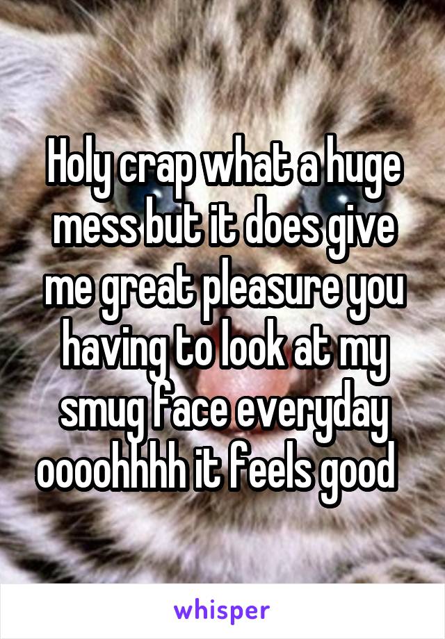 Holy crap what a huge mess but it does give me great pleasure you having to look at my smug face everyday oooohhhh it feels good  