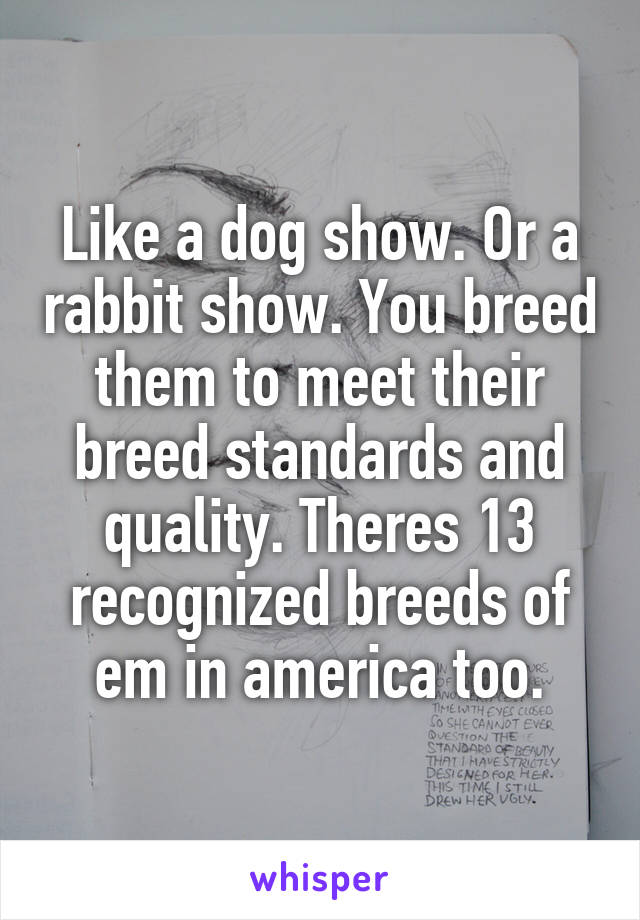 Like a dog show. Or a rabbit show. You breed them to meet their breed standards and quality. Theres 13 recognized breeds of em in america too.