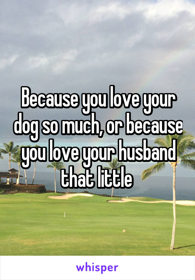 Because you love your dog so much, or because you love your husband that little 