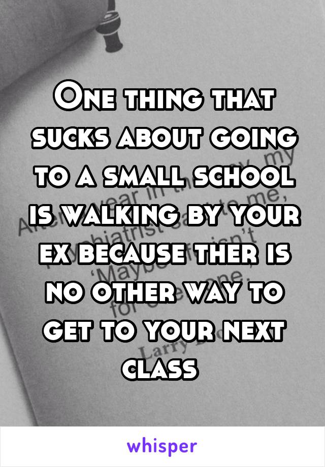 One thing that sucks about going to a small school is walking by your ex because ther is no other way to get to your next class 