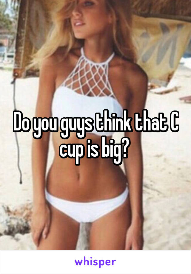 Do you guys think that C cup is big? 