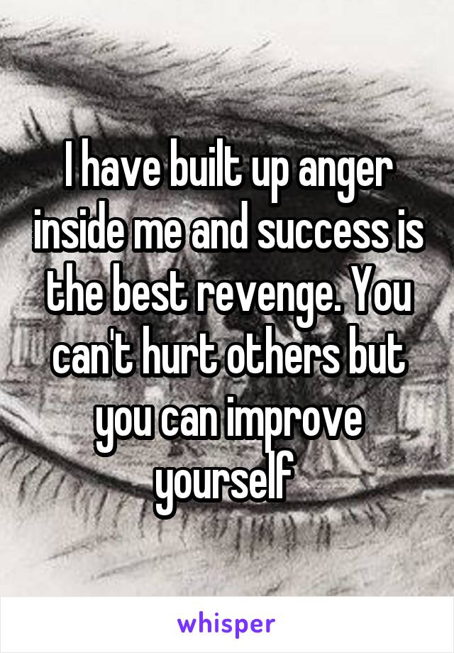 I have built up anger inside me and success is the best revenge. You can't hurt others but you can improve yourself 