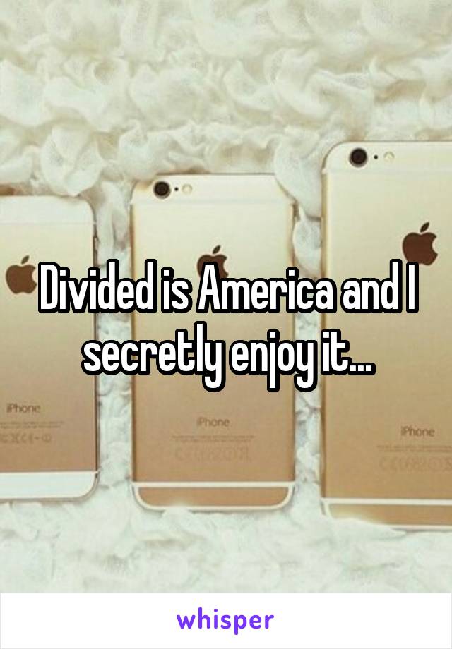 Divided is America and I secretly enjoy it...