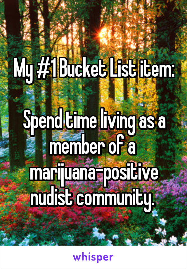 My #1 Bucket List item:

Spend time living as a member of a 
marijuana-positive nudist community. 