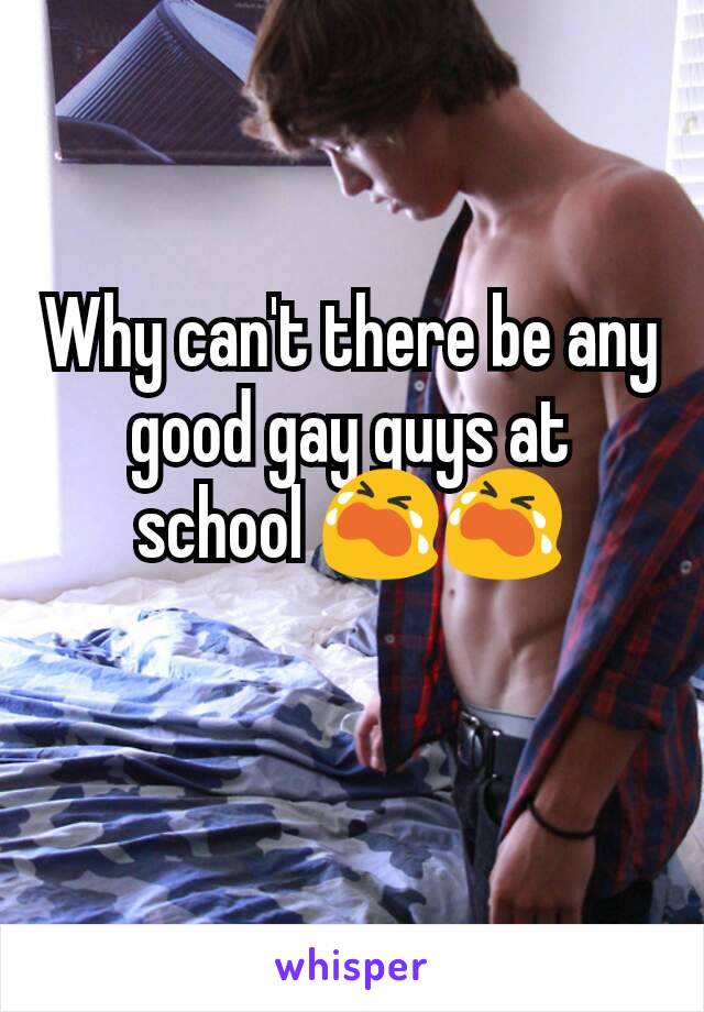 Why can't there be any good gay guys at school 😭😭