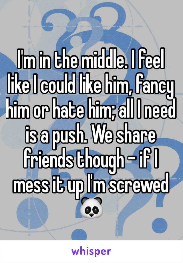 I'm in the middle. I feel like I could like him, fancy him or hate him; all I need is a push. We share friends though - if I mess it up I'm screwed 🐼