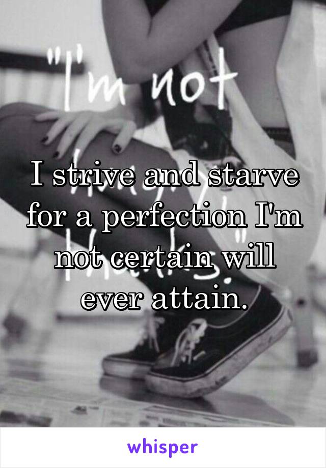 I strive and starve for a perfection I'm not certain will ever attain.