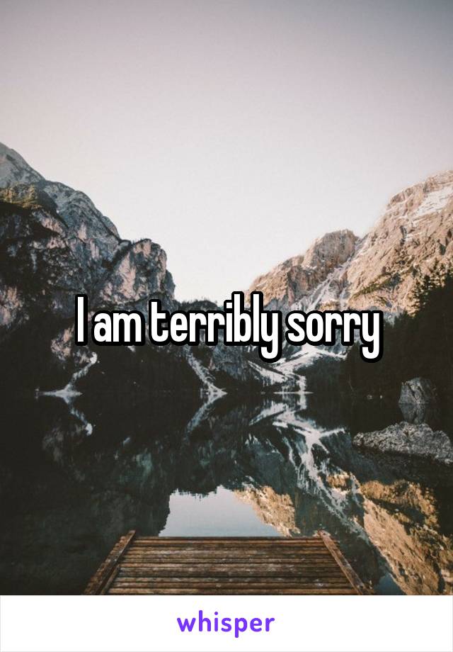 I am terribly sorry