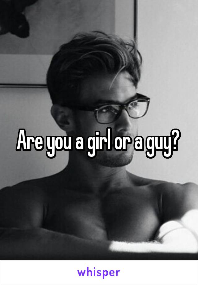 Are you a girl or a guy? 