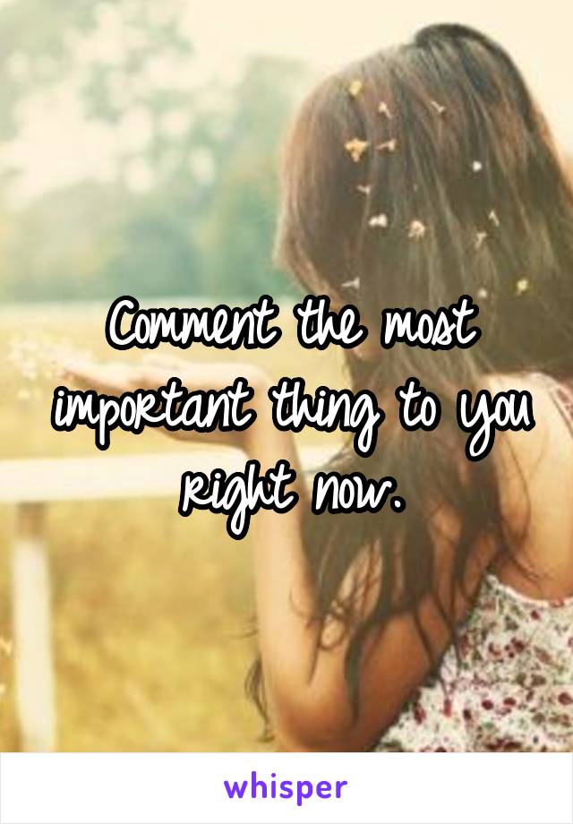 Comment the most important thing to you right now.