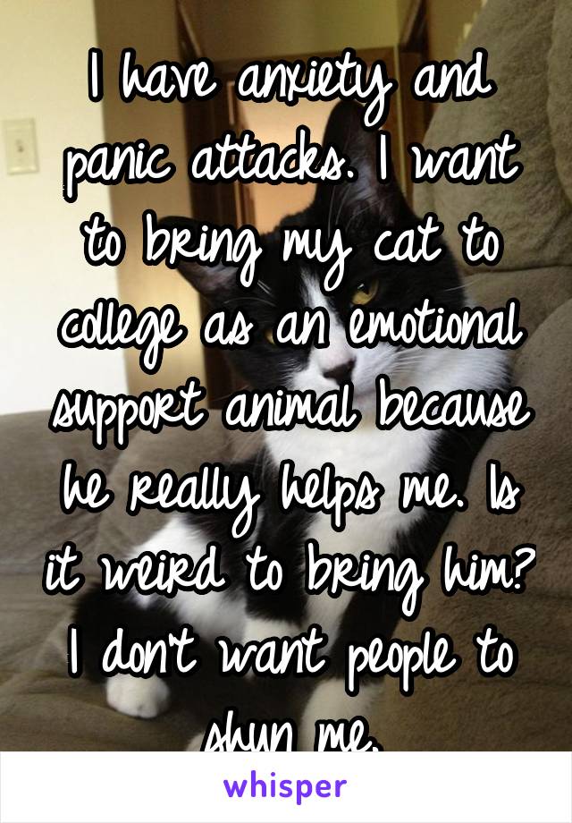 I have anxiety and panic attacks. I want to bring my cat to college as an emotional support animal because he really helps me. Is it weird to bring him? I don't want people to shun me.