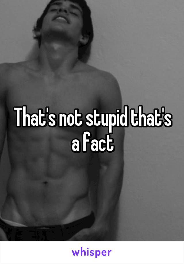 That's not stupid that's a fact