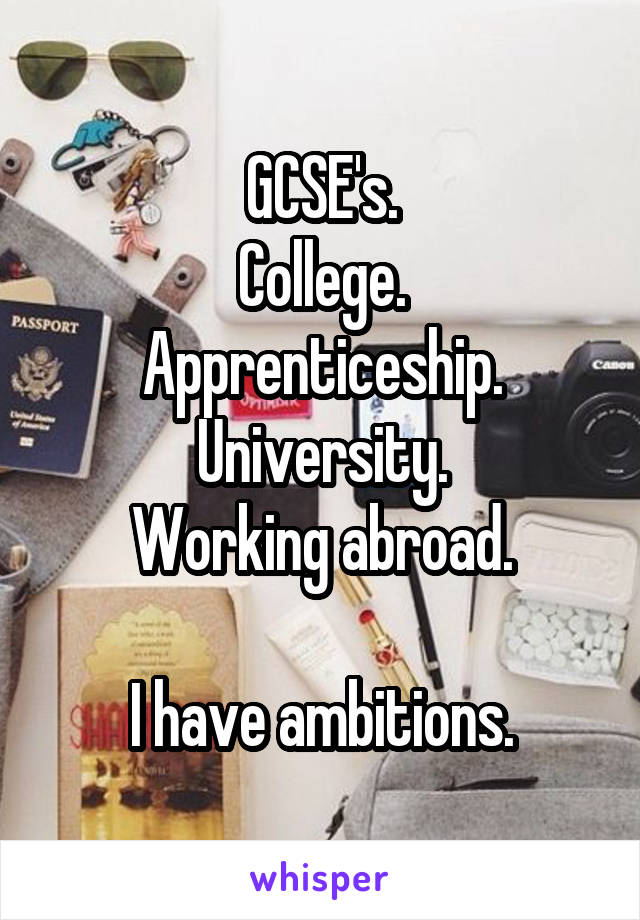 GCSE's.
College.
Apprenticeship.
University.
Working abroad.

I have ambitions.