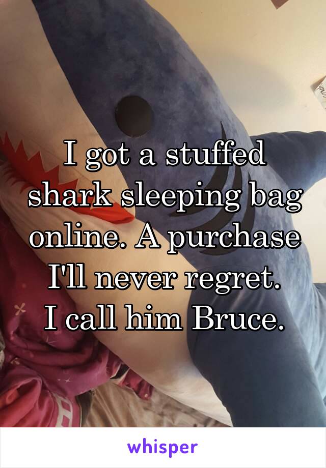 I got a stuffed shark sleeping bag online. A purchase I'll never regret.
I call him Bruce.