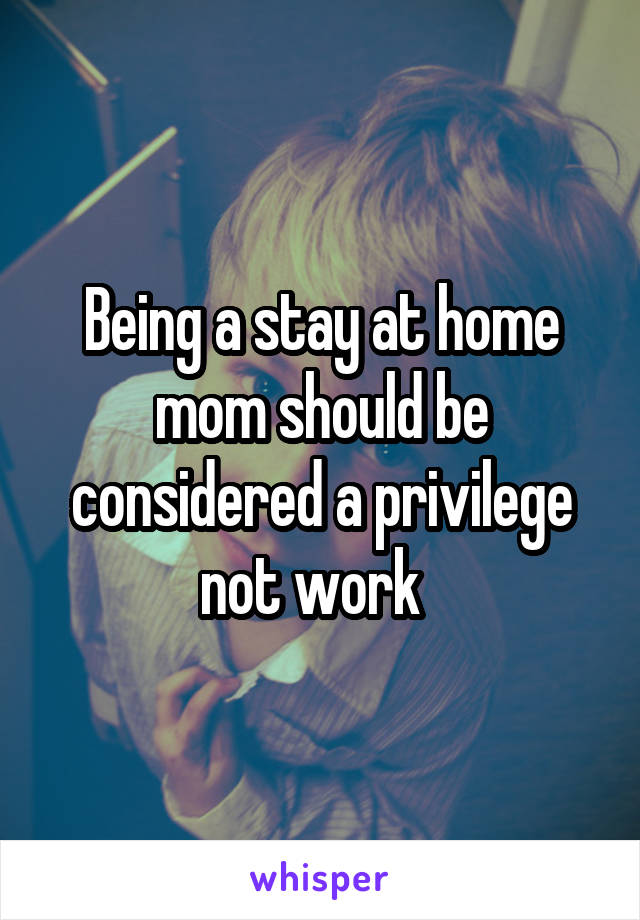 Being a stay at home mom should be considered a privilege not work  