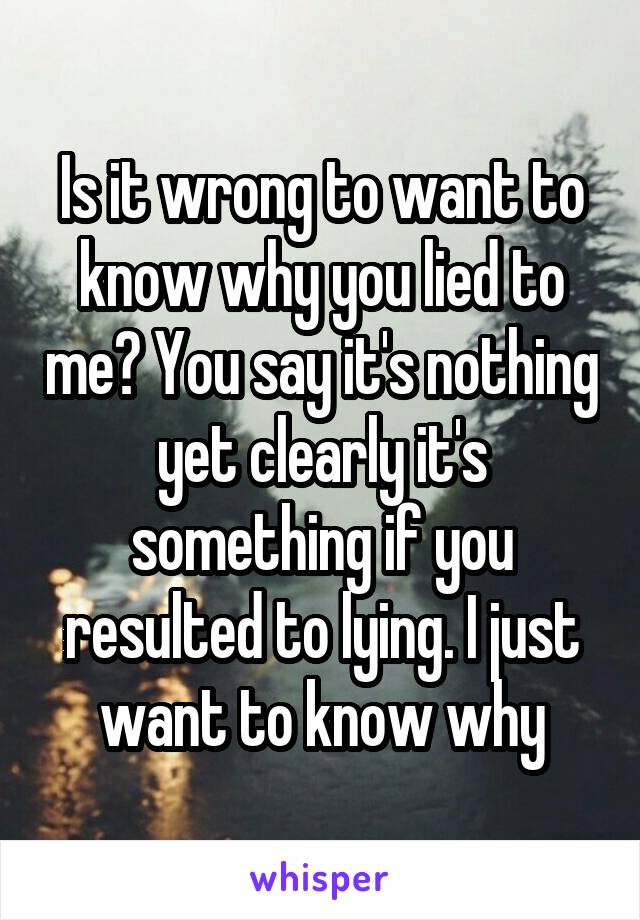 Is it wrong to want to know why you lied to me? You say it's nothing yet clearly it's something if you resulted to lying. I just want to know why