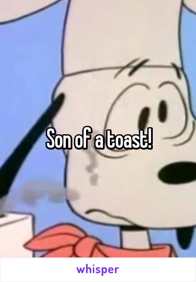 Son of a toast!