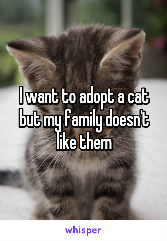 I want to adopt a cat but my family doesn't like them