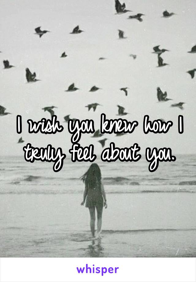 I wish you knew how I truly feel about you.