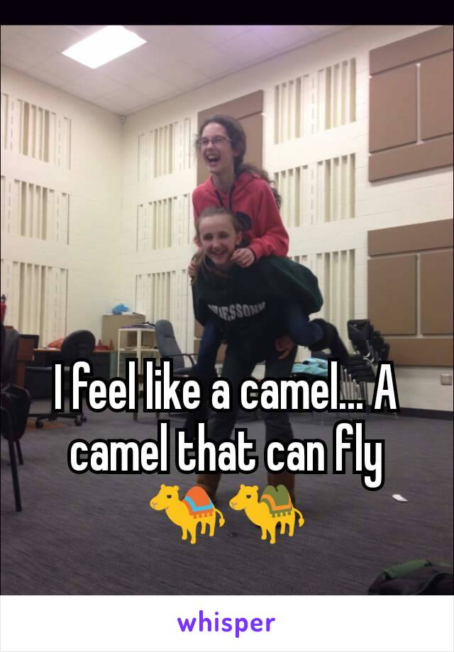 I feel like a camel... A camel that can fly
🐪🐫