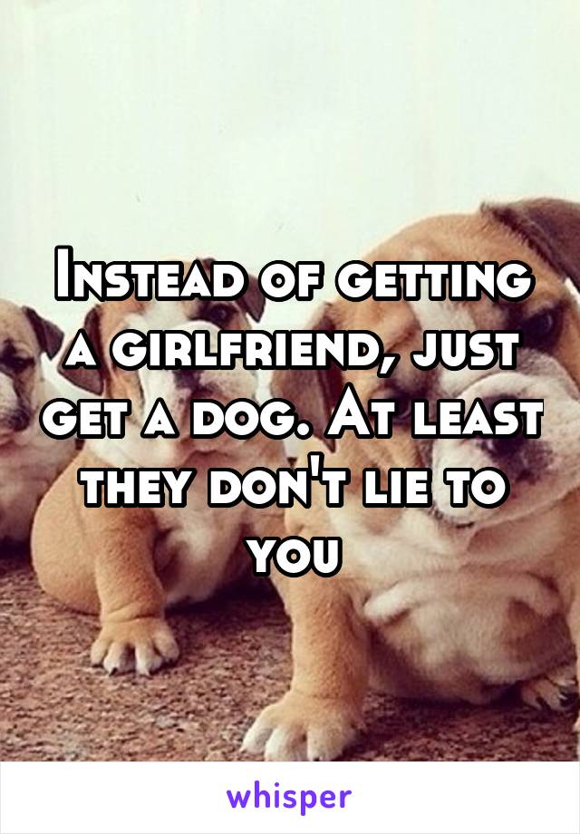 Instead of getting a girlfriend, just get a dog. At least they don't lie to you