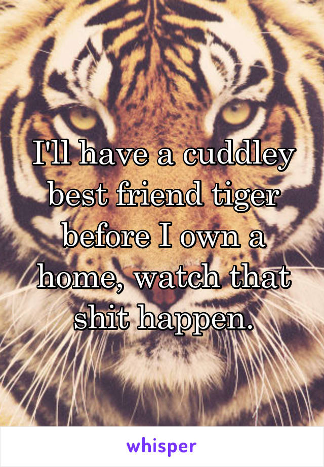 I'll have a cuddley best friend tiger before I own a home, watch that shit happen.