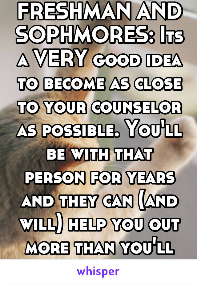 FRESHMAN AND SOPHMORES: Its a VERY good idea to become as close to your counselor as possible. You'll be with that person for years and they can (and will) help you out more than you'll ever know!