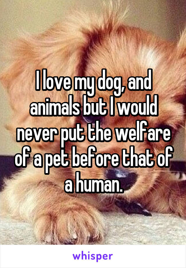 I love my dog, and animals but I would never put the welfare of a pet before that of a human.