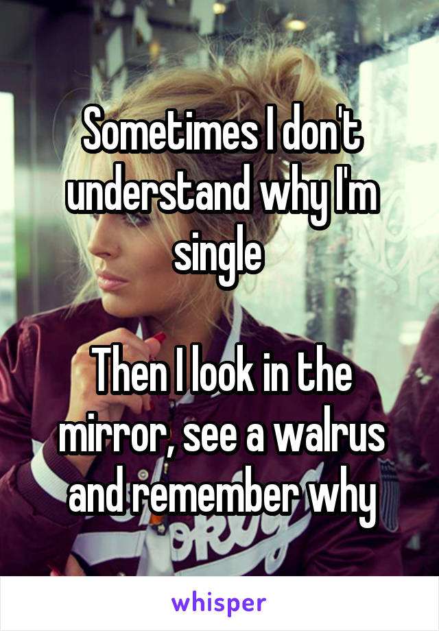 Sometimes I don't understand why I'm single 

Then I look in the mirror, see a walrus and remember why