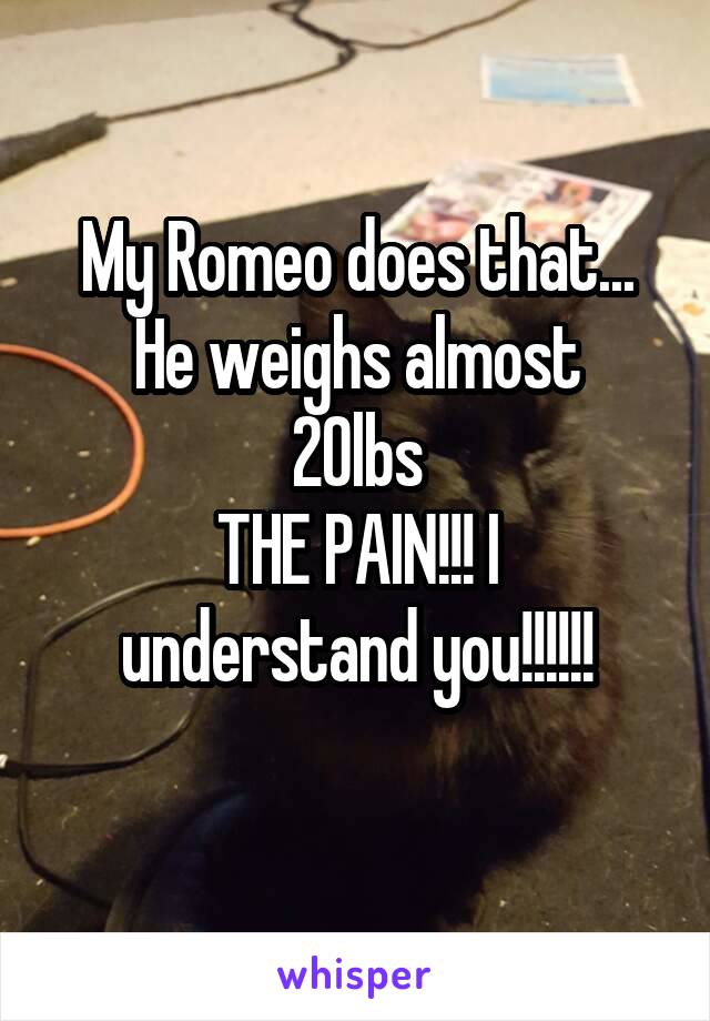 My Romeo does that...
He weighs almost 20lbs
THE PAIN!!! I understand you!!!!!!
