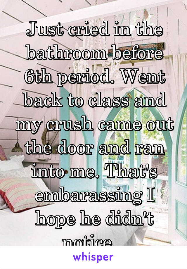 Just cried in the bathroom before 6th period. Went back to class and my crush came out the door and ran into me. That's embarassing I hope he didn't notice...