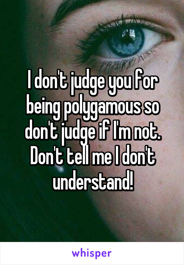 I don't judge you for being polygamous so don't judge if I'm not. Don't tell me I don't understand!