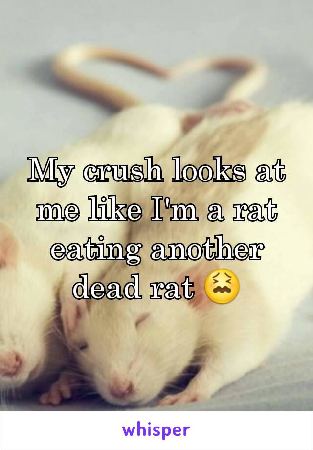 My crush looks at me like I'm a rat eating another dead rat 😖