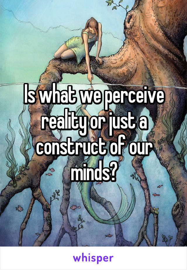 Is what we perceive reality or just a construct of our minds?