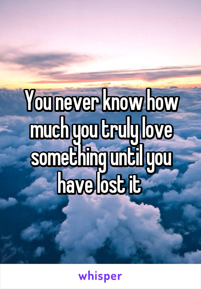 You never know how much you truly love something until you have lost it 