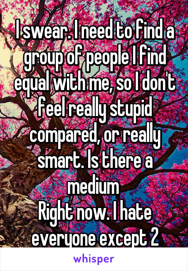 I swear. I need to find a group of people I find equal with me, so I don't feel really stupid compared, or really smart. Is there a medium 
Right now. I hate everyone except 2