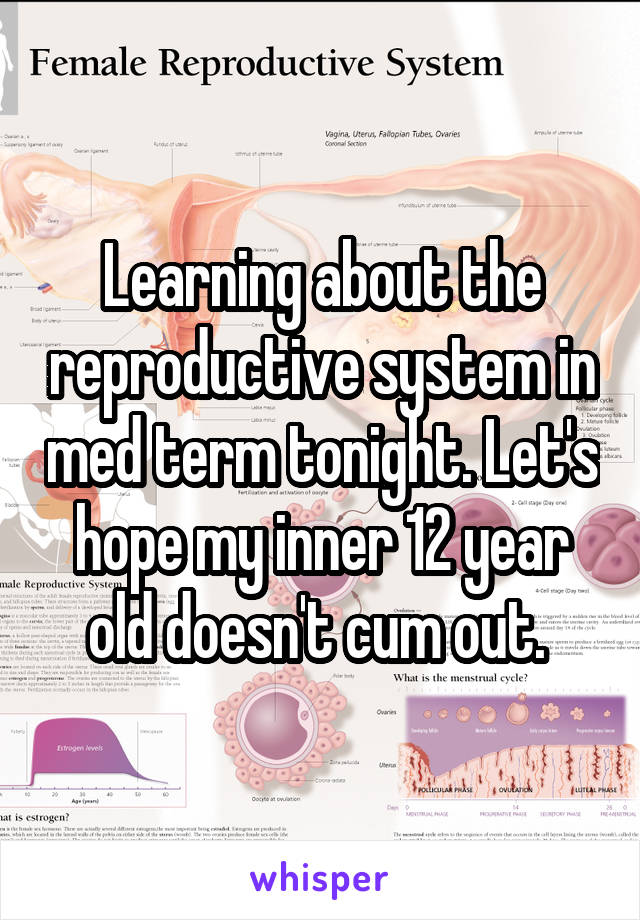 Learning about the reproductive system in med term tonight. Let's hope my inner 12 year old doesn't cum out. 