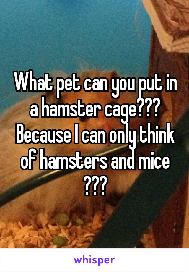 What pet can you put in a hamster cage??? Because I can only think of hamsters and mice
???