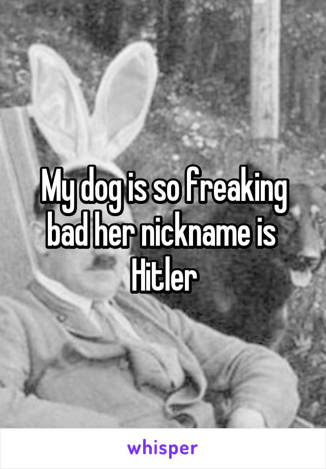 My dog is so freaking bad her nickname is  Hitler